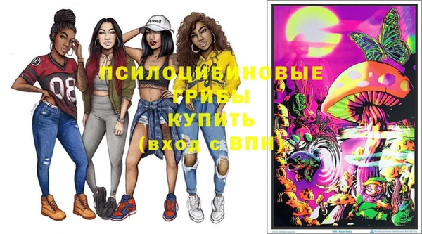 хмурый Осинники