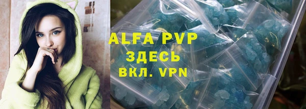 хмурый Осинники