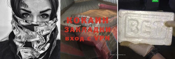 хмурый Осинники