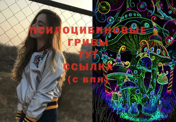 хмурый Осинники