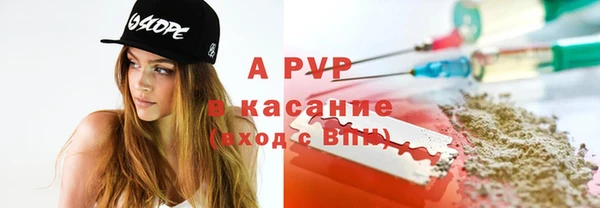 хмурый Осинники
