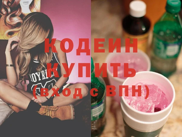 хмурый Осинники
