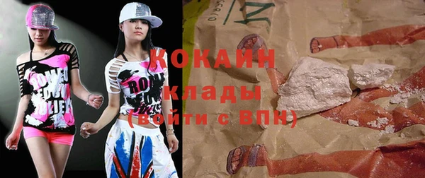 хмурый Осинники