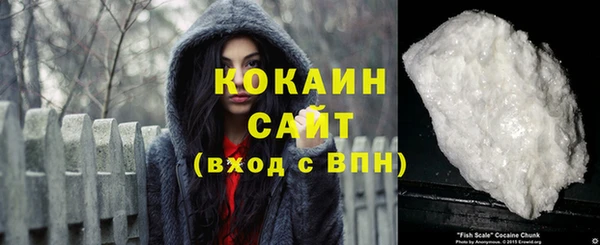 хмурый Осинники