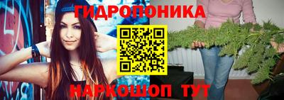 шишки Балашиха