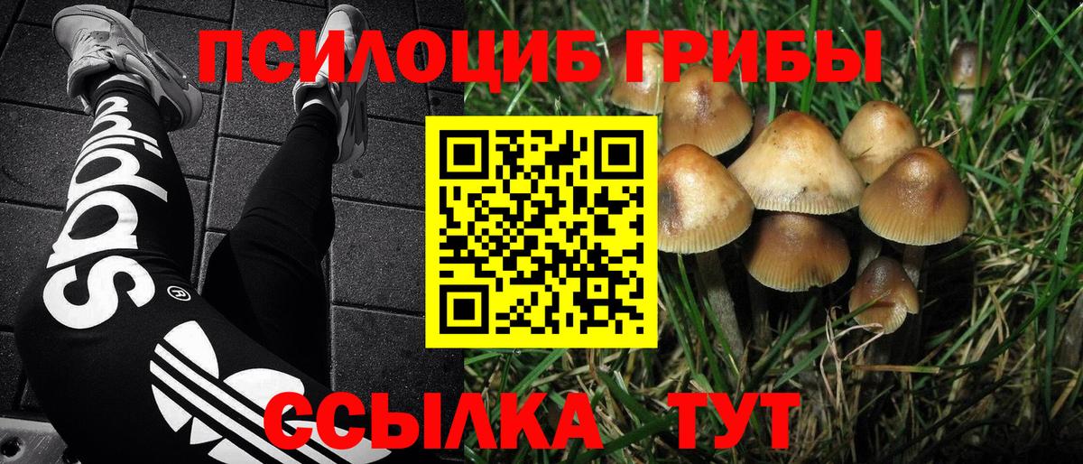 COCAIN  NBOMe  CBD масло  Вход с VPN  Асбест  MDMA  Гарик  Кислота  Альфа-ПВП  Бошки Шишки  МЕФ 