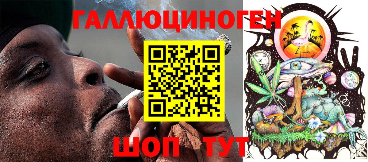 Галлюциногенные грибы Psilocybine cubensis Асбест