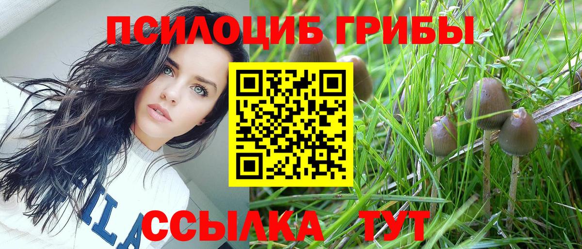 Галлюциногенные грибы Magic Shrooms  Вход с VPN  Асбест  Галлюциногенные грибы мухоморы 
