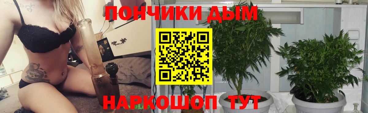 Конопля AK-47  Бошки марихуана SATIVA & INDICA  Асбест  Вход с VPN  Бошки Шишки OG Kush 